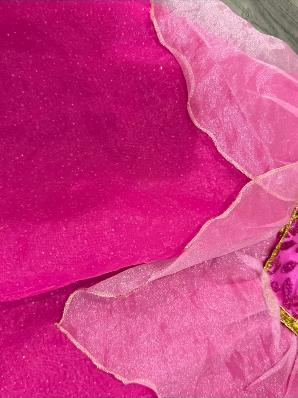 Disney Hot Pink and Light Pink Princess Ball Gown Costume